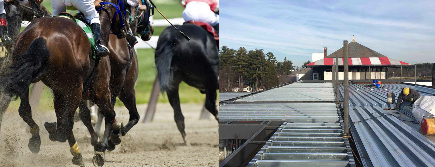 Horse running on Saratoga Race course track (Left) Deep-Dek® Composite (right)